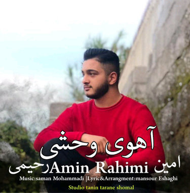 دانلود آهنگ آهوی وحشی امین رحیمی